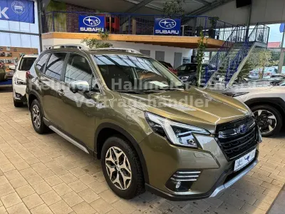Gebraucht Subaru Forester