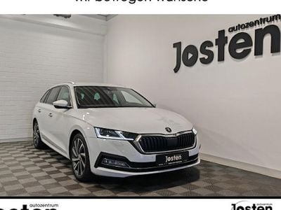 Gebraucht Skoda Octavia Style 115 PS (84 kW) 2023 Weiß Kombi
