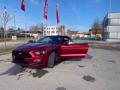 gebraucht Ford Mustang 2,3 EcoBoost CABRIO/CANADA/XENON/LEDER/PDC+KAMERA