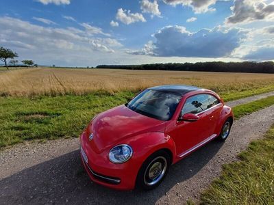 VW Beetle