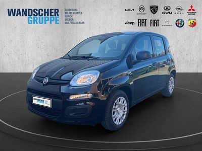 Gebraucht Fiat Panda 69 PS (50 kW) 2025 Schwarzschwarz Kleinwagen