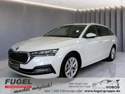 Gebraucht Skoda Octavia Style 150 PS (110 kW) 2023 Candyweiss Kombi