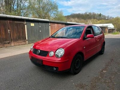 Usata VW Polo 60 CV (44 kW) 2003 Rosso Utilitaria
