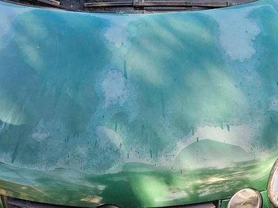 Gebraucht VW Polo 75 PS (55 kW) 2002 Grün Kleinwagen