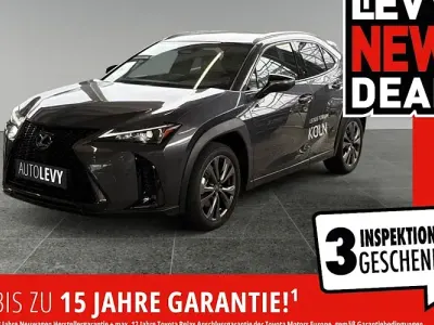 Gebraucht Lexus UX 300h