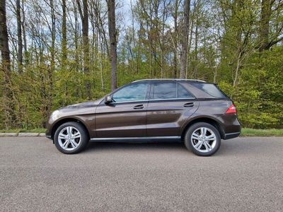 gebraucht Mercedes ML350 CDI 4M Panorama Verkehrszeichenerk.