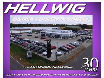 Gebraucht Mazda CX-30 Selection 360 PS (264 kW) 2020 Grau SUV