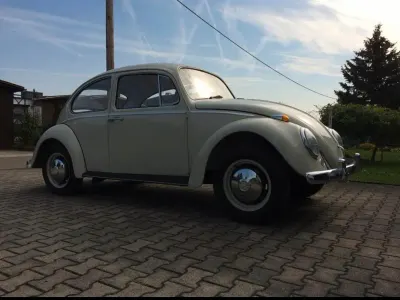 Gebraucht VW Käfer 1966 Beige Kleinwagen