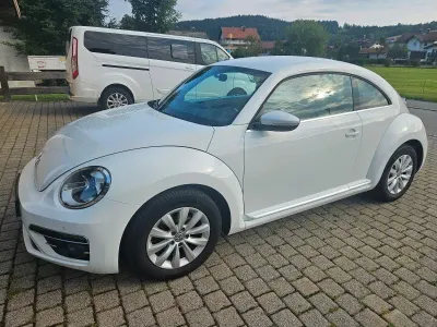 Gebraucht VW Beetle