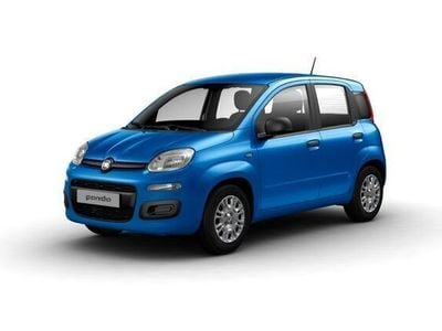 Neu Fiat Panda 69 PS (50 kW) 2025 Blau Kleinwagen