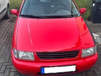 VW Polo