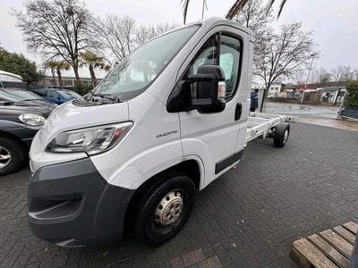 Gebraucht Fiat Ducato 177 PS (130 kW) 2017 Weiß Van