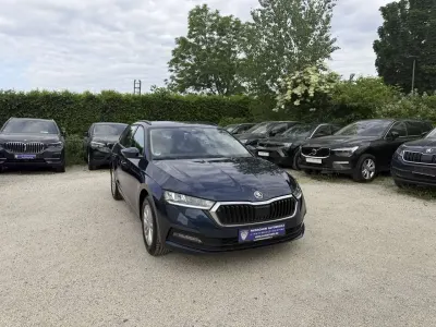 Usata Skoda Octavia