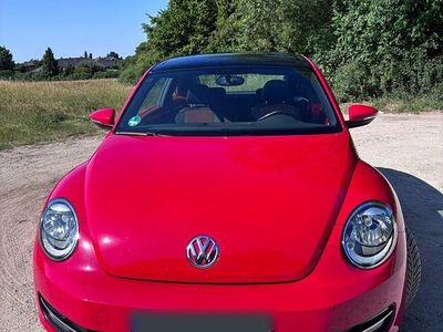 VW Beetle