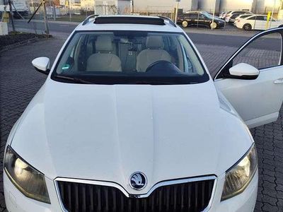 Gebraucht Skoda Octavia Style 150 PS (110 kW) 2016 Kombi