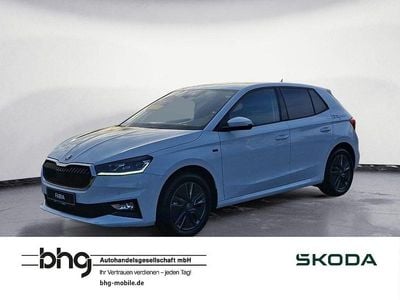 Weiß Neu 2025 Skoda Fabia Tour Limousine | 23.990 € (Etwas zu teuer)