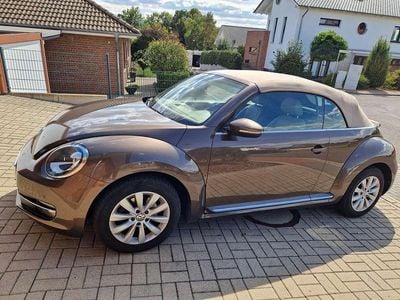 VW Beetle