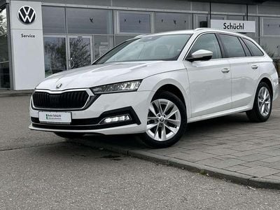 Gebraucht Skoda Octavia Style 116 PS (85 kW) 2023 Weiß Kombi