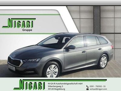 Usata Skoda Octavia Ambition 150 CV (110 kW) 2024 Grigio Station wagon