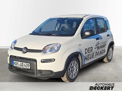 Gebraucht Fiat Panda 69 PS (50 kW) 2024 Weiß Kleinwagen