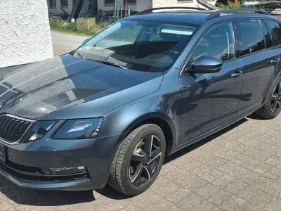 Gebraucht Skoda Octavia Ambition 116 PS (85 kW) 2018 Grau Kombi