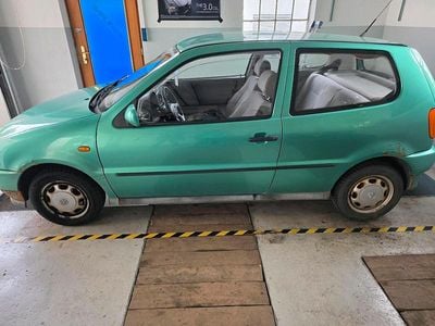 VW Polo