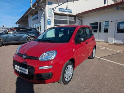 Neu Fiat Panda 69 PS (50 kW) 2025 Rot Limousine