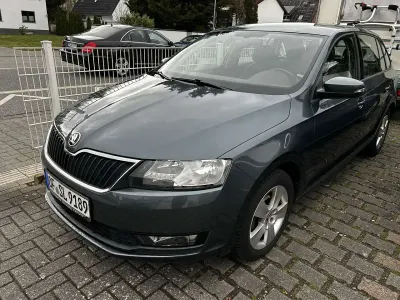 Brugt Skoda Rapid