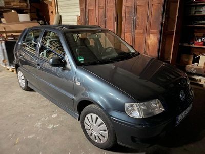 VW Polo
