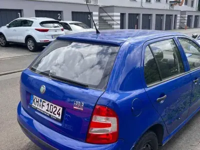Brugt Skoda Fabia