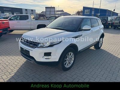 Gebraucht Land Rover Range Rover evoque Pure 150 PS (110 kW) 2014 Weiß SUV