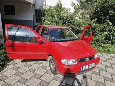 VW Polo