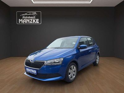Gebraucht Skoda Fabia Cool Plus 95 PS (69 kW) 2021 Raceblau metallic Kleinwagen