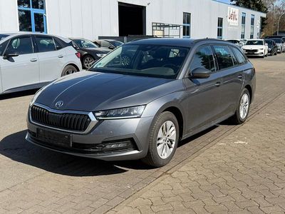 Usata Skoda Octavia Ambition 116 CV (85 kW) 2023 Grigio Station wagon