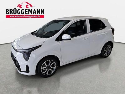 Neu Kia Picanto Spirit 68 PS (50 kW) 2026 Weiß Kleinwagen