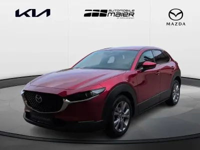 Gebraucht Mazda CX-30 Selection 150 PS (110 kW) 2022 Rot SUV