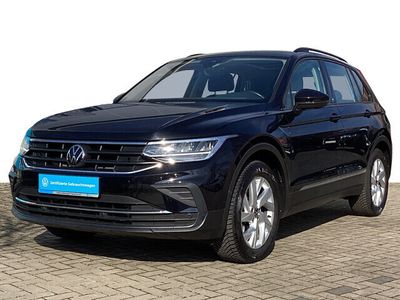 gebraucht VW Tiguan 1.5 TSI Life Navi Pano AHK LED ACC PDC SHZ