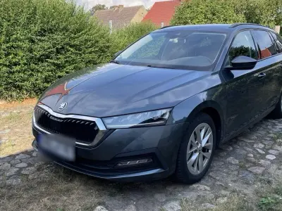 Gebraucht Skoda Octavia