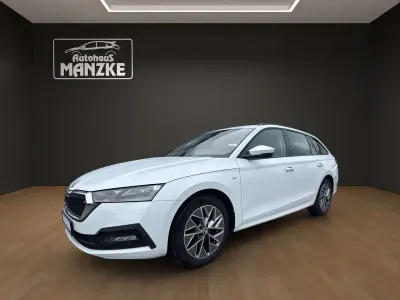 Gebraucht Skoda Octavia Ambition 150 PS (110 kW) 2023 Moonweiss metallic Kombi