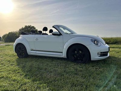 VW Beetle