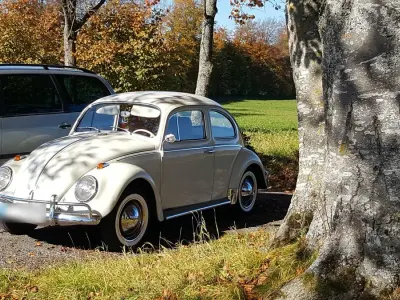 Gebraucht VW Käfer 34 PS (25 kW) 1963 Weiß Limousine