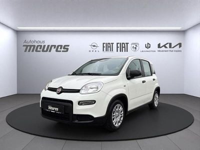 Używany Fiat Panda