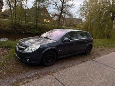 Usata Opel Signum 120 CV (88 kW) 2007 Blu Utilitaria