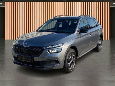 Gebraucht Skoda Kamiq 110 PS (80 kW) 2023 Grau SUV