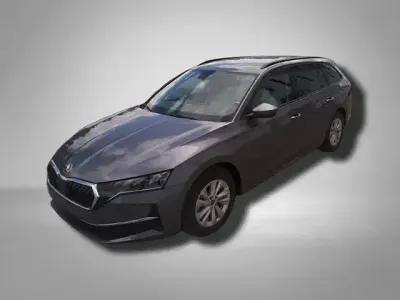 Gebraucht Skoda Octavia Business Line 2025 Grau Kombi
