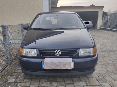 VW Polo