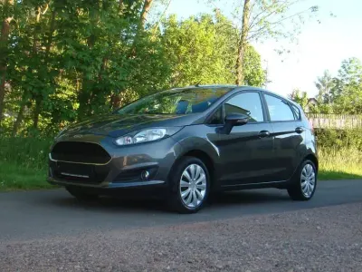 Gebraucht Ford Fiesta Celebration 82 PS (60 kW) 2016 Grau Kleinwagen