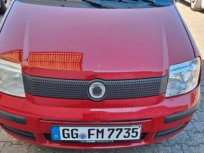 Usata Fiat Panda 60 CV (44 kW) 2010 Rosso Utilitaria