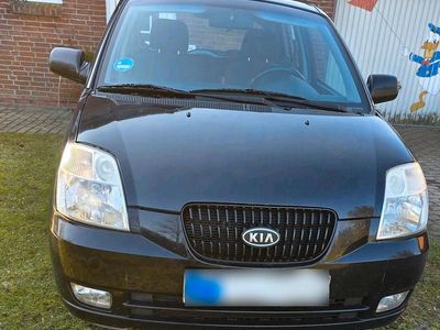 Gebraucht Kia Picanto 2007 Schwarz Kleinwagen