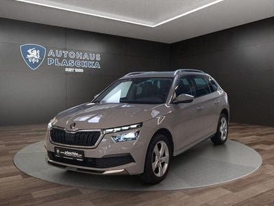 Gebraucht Skoda Kamiq Style 116 PS (85 kW) 2021 Steelgrau SUV